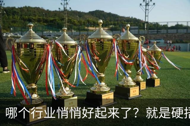 哪个行业悄悄好起来了？就是硬捂着，不让别人知道的那种？