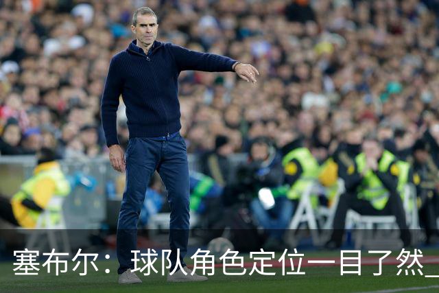 塞布尔：球队角色定位一目了然 球队体系帮助我们发挥长处