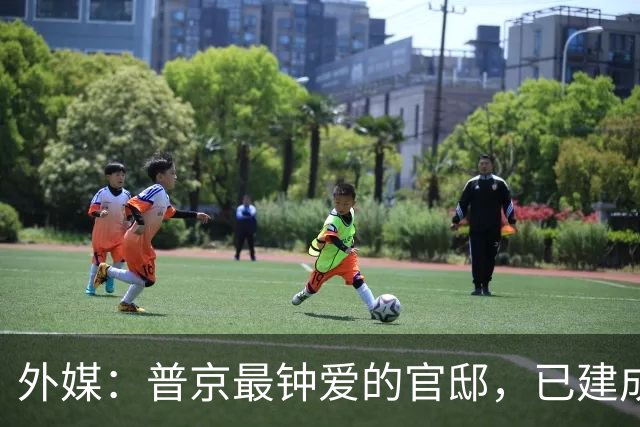外媒：普京最钟爱的官邸，已建成一圈由15座新防空塔组成的防御环