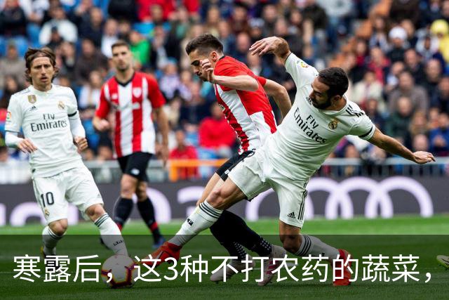 寒露后，这3种不打农药的蔬菜，再贵都要买，强身健体，增免疫