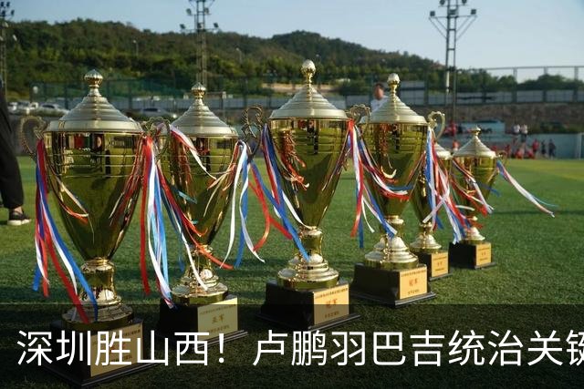 深圳胜山西！卢鹏羽巴吉统治关键球，王浩然伤退，威金顿空砍26分