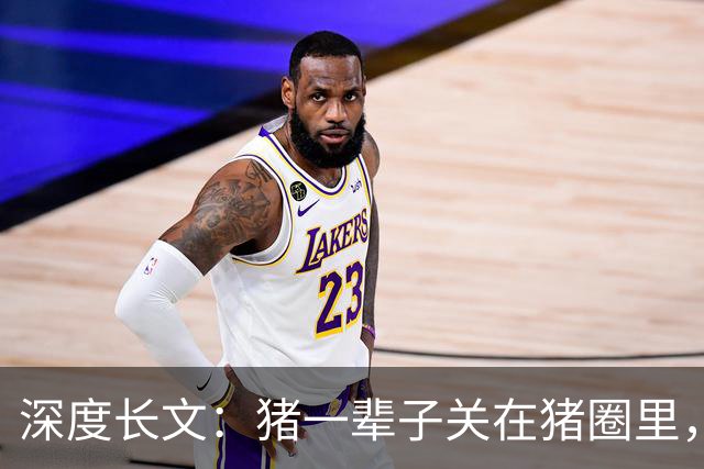 深度长文：猪一辈子关在猪圈里，为什么不会"憋疯"抑郁？其实它会