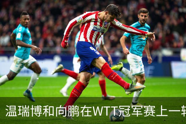 温瑞博和向鹏在WTT冠军赛上一轮游，为何不给削球手李天阳机会？