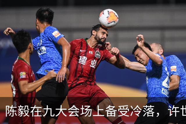 陈毅在九大会场上备受冷落，许世友：陈老总，我有礼物送给你